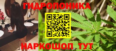 мдпв Дубна
