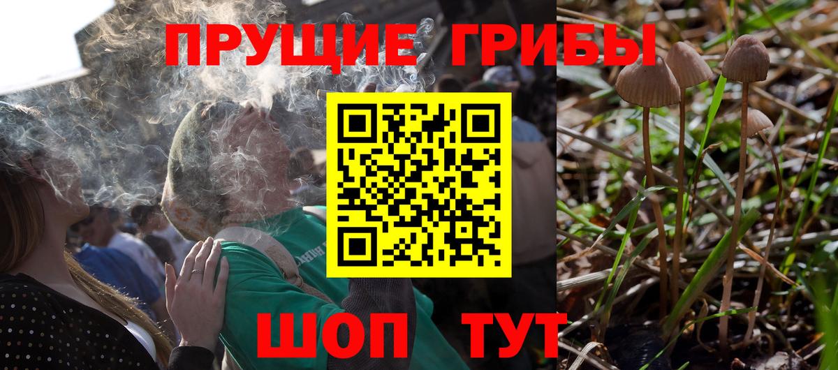 Псилоцибиновые грибы GOLDEN TEACHER  что такое   Магнитогорск  Вход с VPN 